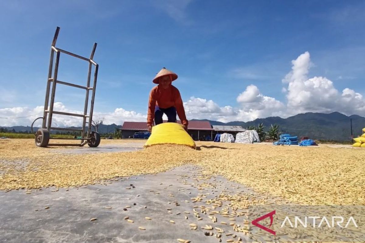 Sulteng berharap KTT ASEAN dorong pengembangan pertanian di daerah