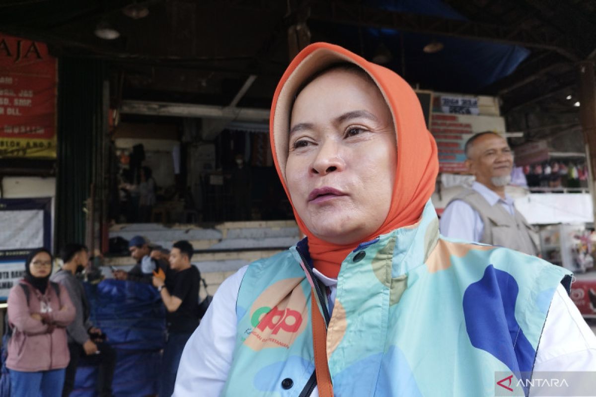 DKPP catat usai Lebaran harga ayam dan cabai turun di Kota Bandung