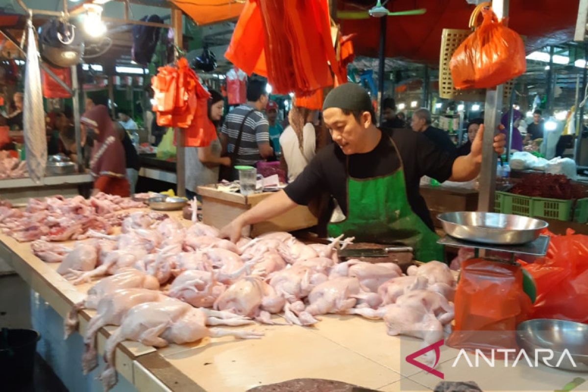 Harga daging ayam di Pontianak turun pasca Lebaran