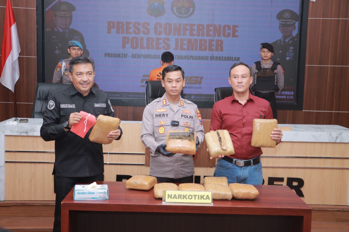 Sita 10 kg ganja, Polres Jember tangkap sindikat pengedar lintas pulau