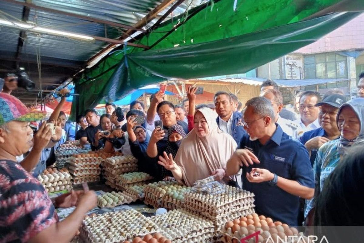Menteri Perdagangan H Zulkifli Hasan sidak harga sembako di Pasar Terong Makassar