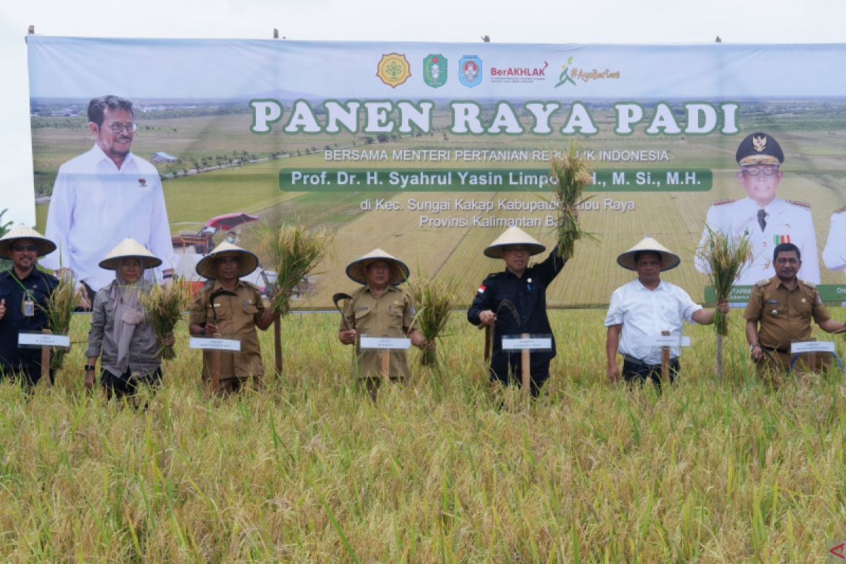Kenaikan HET beras tingkatkan NTP pangan di Kalimantan Barat