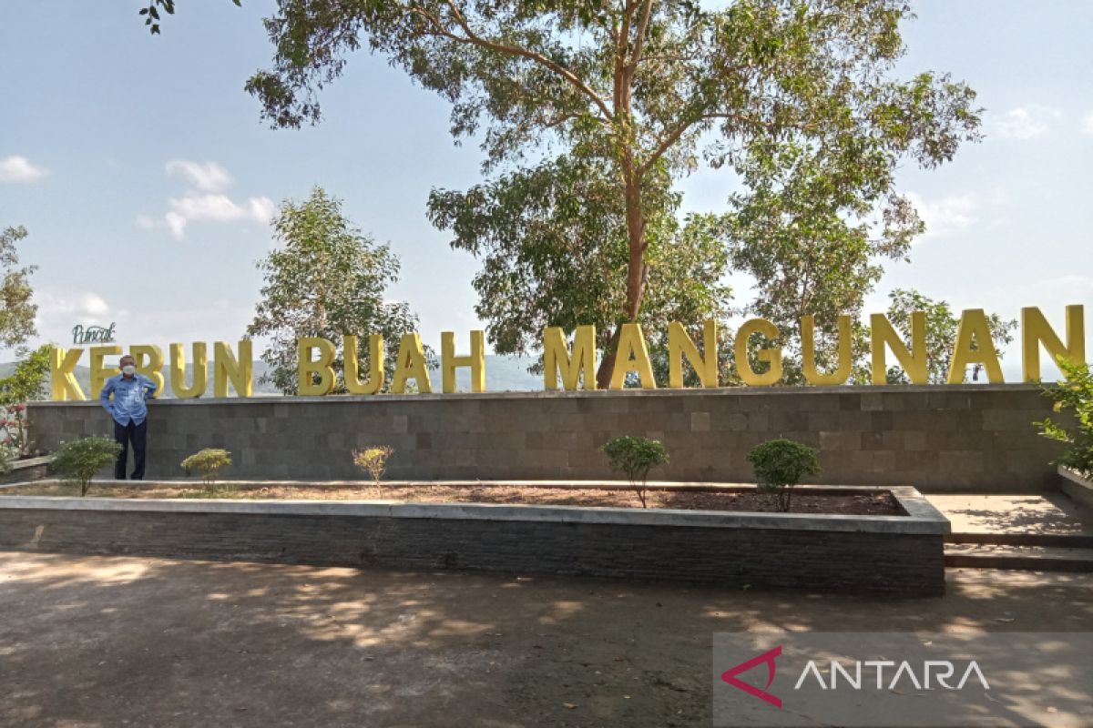 Tingkatkan daya tarik wisata, Bantul tambah spot foto di Kebun Mangunan