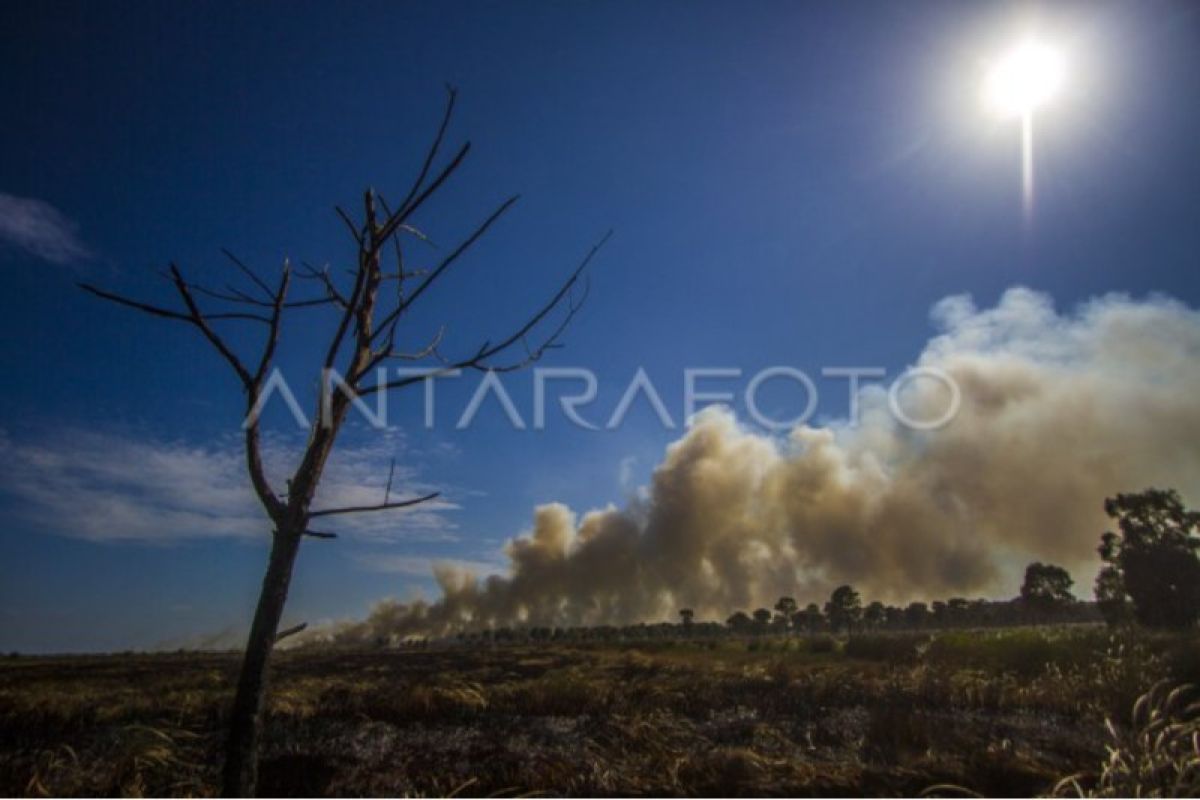 Hadapi El Nino, Tapin Kalsel lakukan mitigasi Karhutla