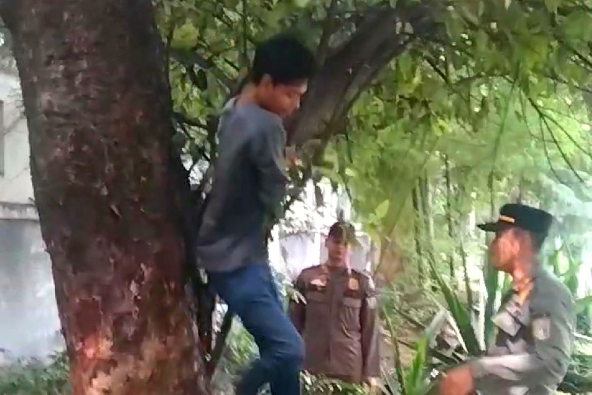 Satpol PP tangkap pemulung naik pohon saat razia di Kebayoran Lama