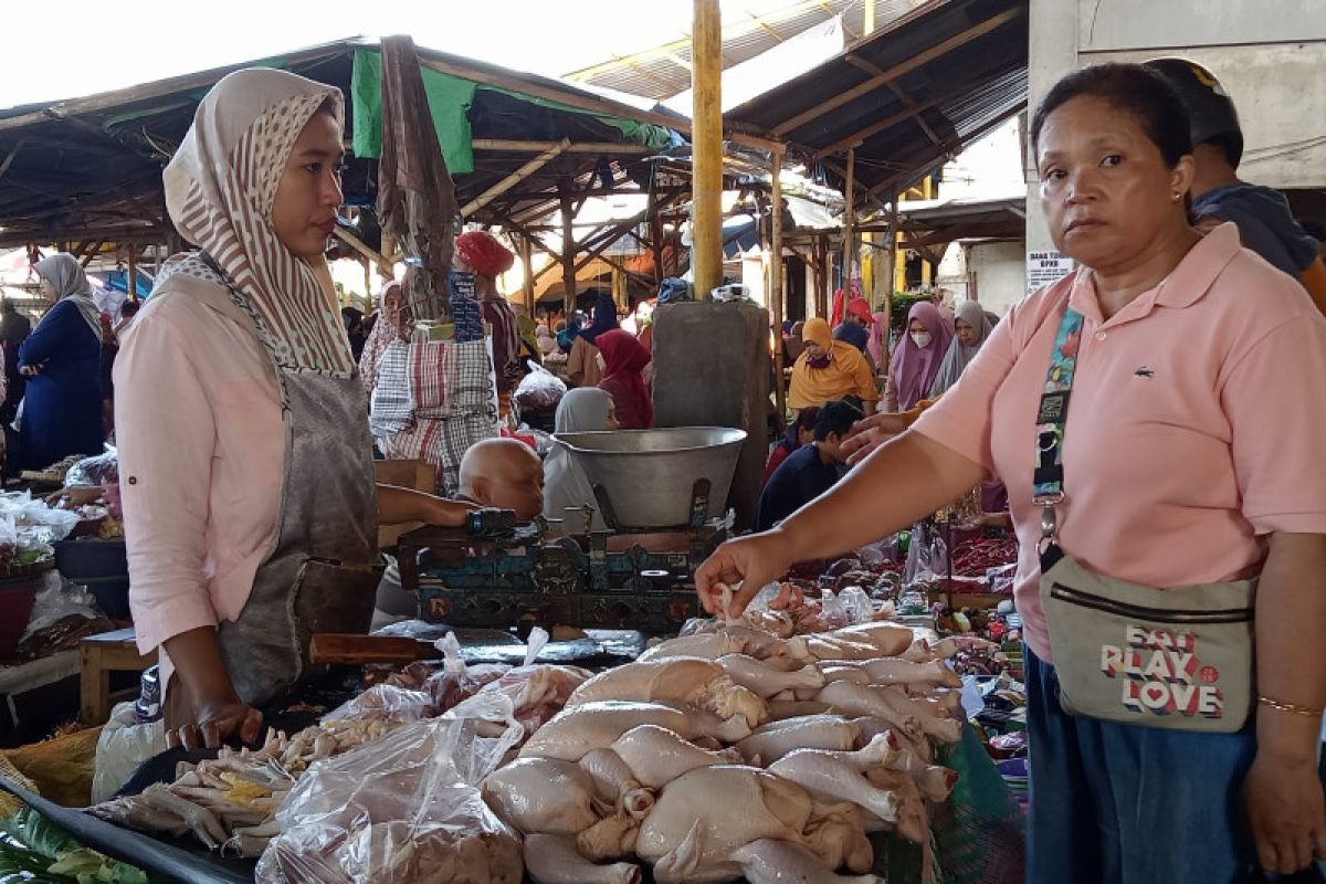 Harga ayam broiler di Mataram antara Rp45 ribu sampai Rp48 ribu per kilogram