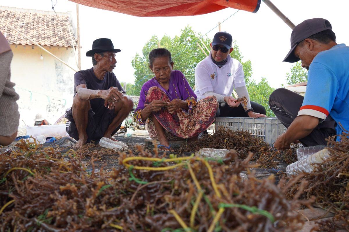 PT Kliring Berjangka Indonesia beri bantuan modal petani rumput laut