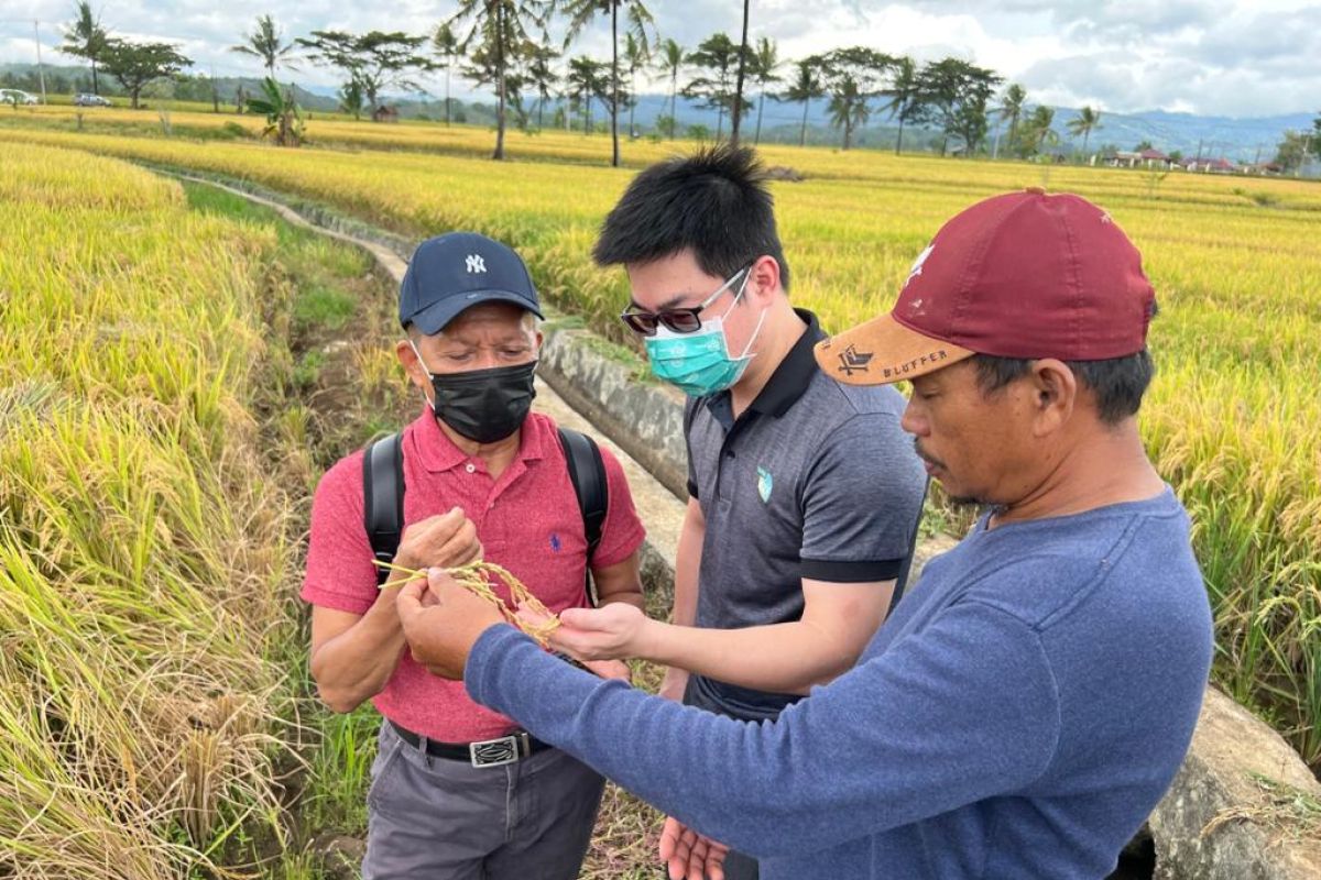 Kerja sama Indonesia, Taiwan tingkatkan produksi benih Sulsel