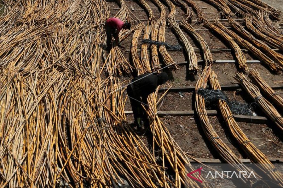 Ekonomi Aceh tumbuh 4,63 persen pada triwulan pertama 2023