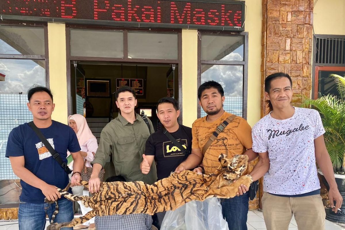 Polres Kerinci tangkap pelaku penjualan kulit harimau