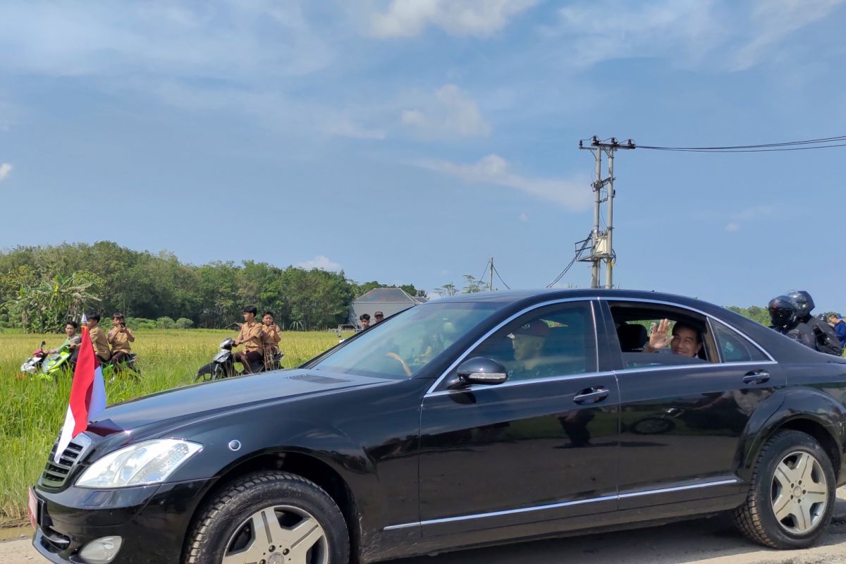 Presiden Joko Widodo tinjau jalan rusak di Terusan Ryacudu Lampung