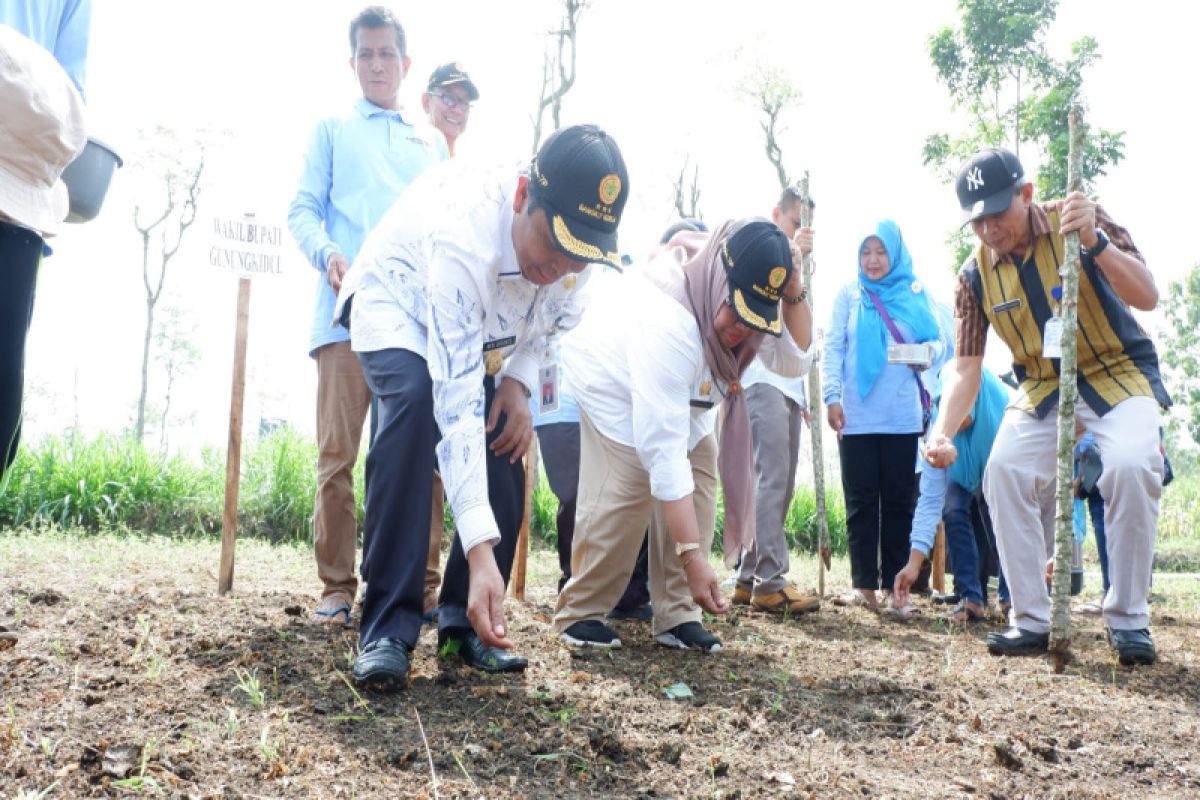 Kementan minta Gunungkidul menjadi penyuplai benih kedelai