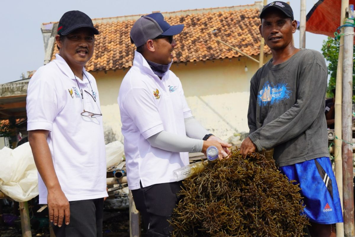 Dukung petani rumput laut, Kliring Berjangka Indonesia beri modal dan pendampingan