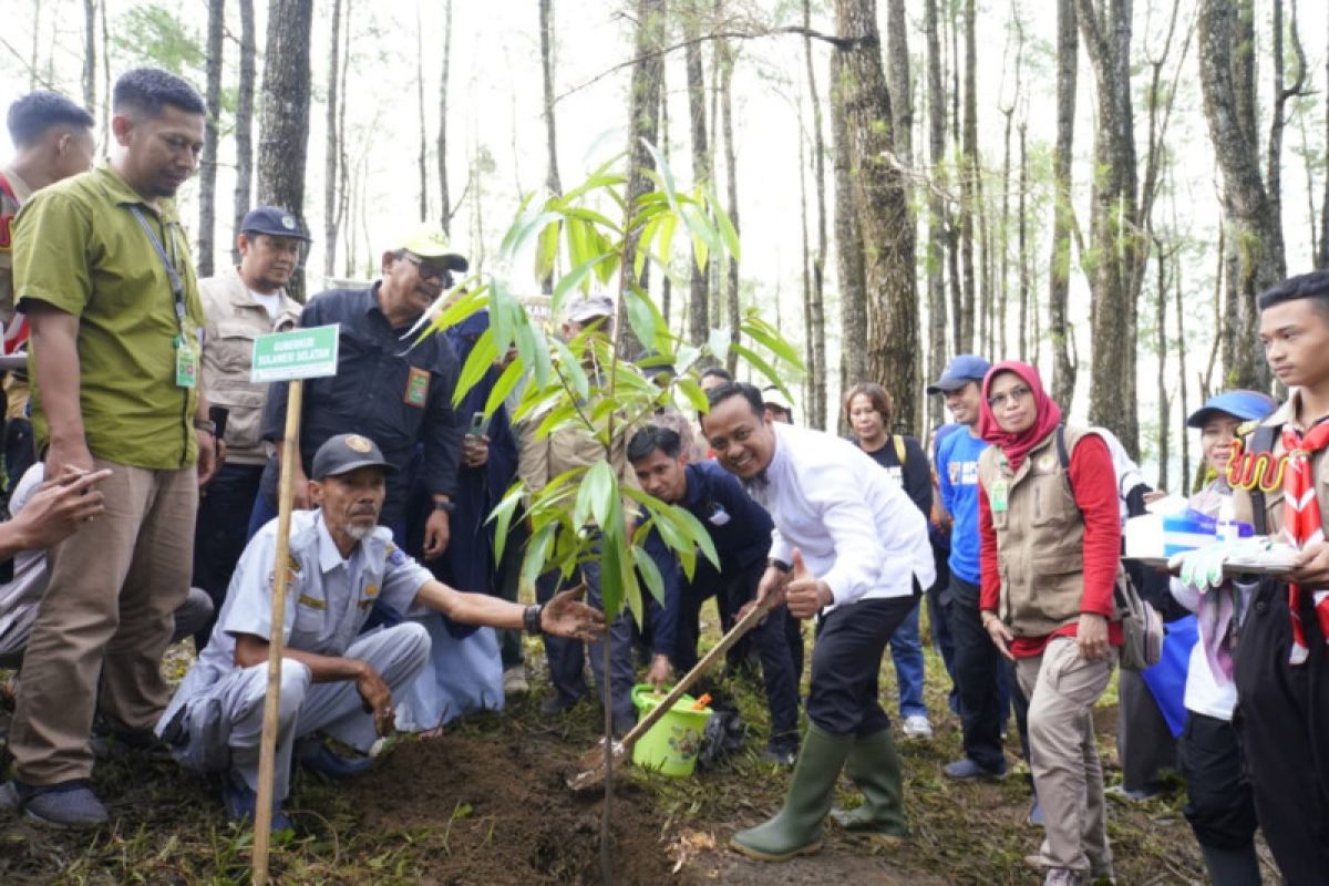 Pemprov Sulsel canangkan Gerakan Siswa Andalan Menanam 1 juta pohon