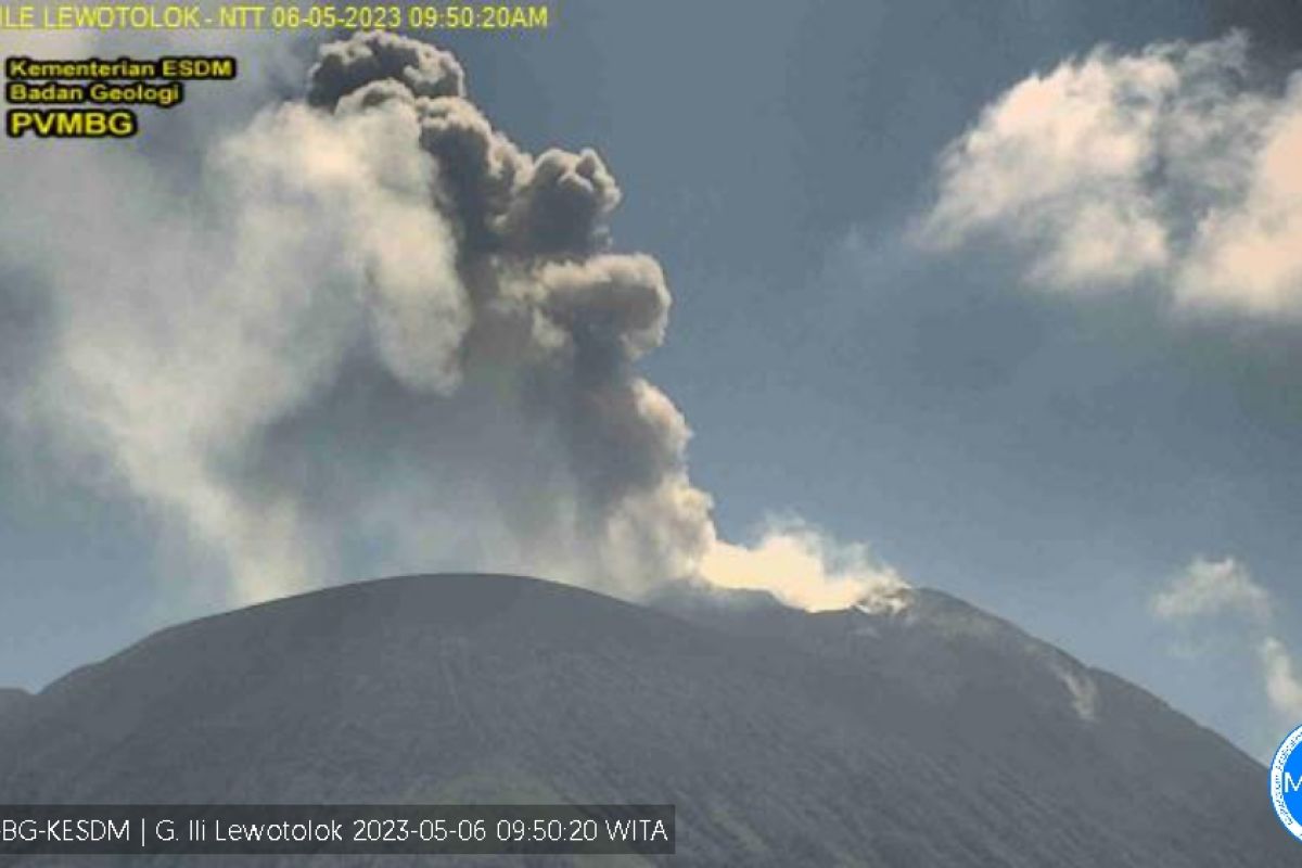 Gunung IlI Lewotolok NTT meletus lontarkan abu setinggi 700 meter