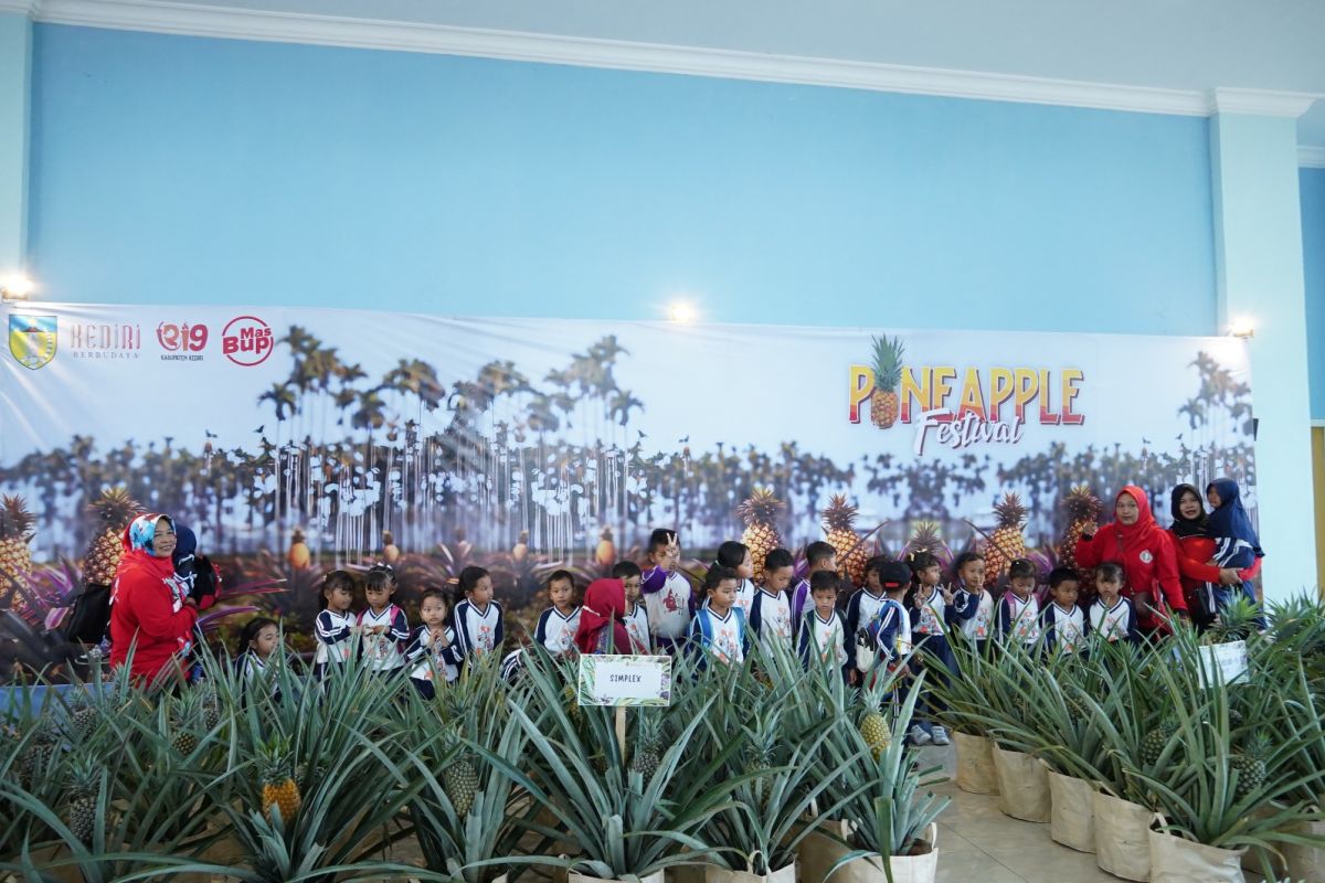 Kediri gelar festival buah nanas