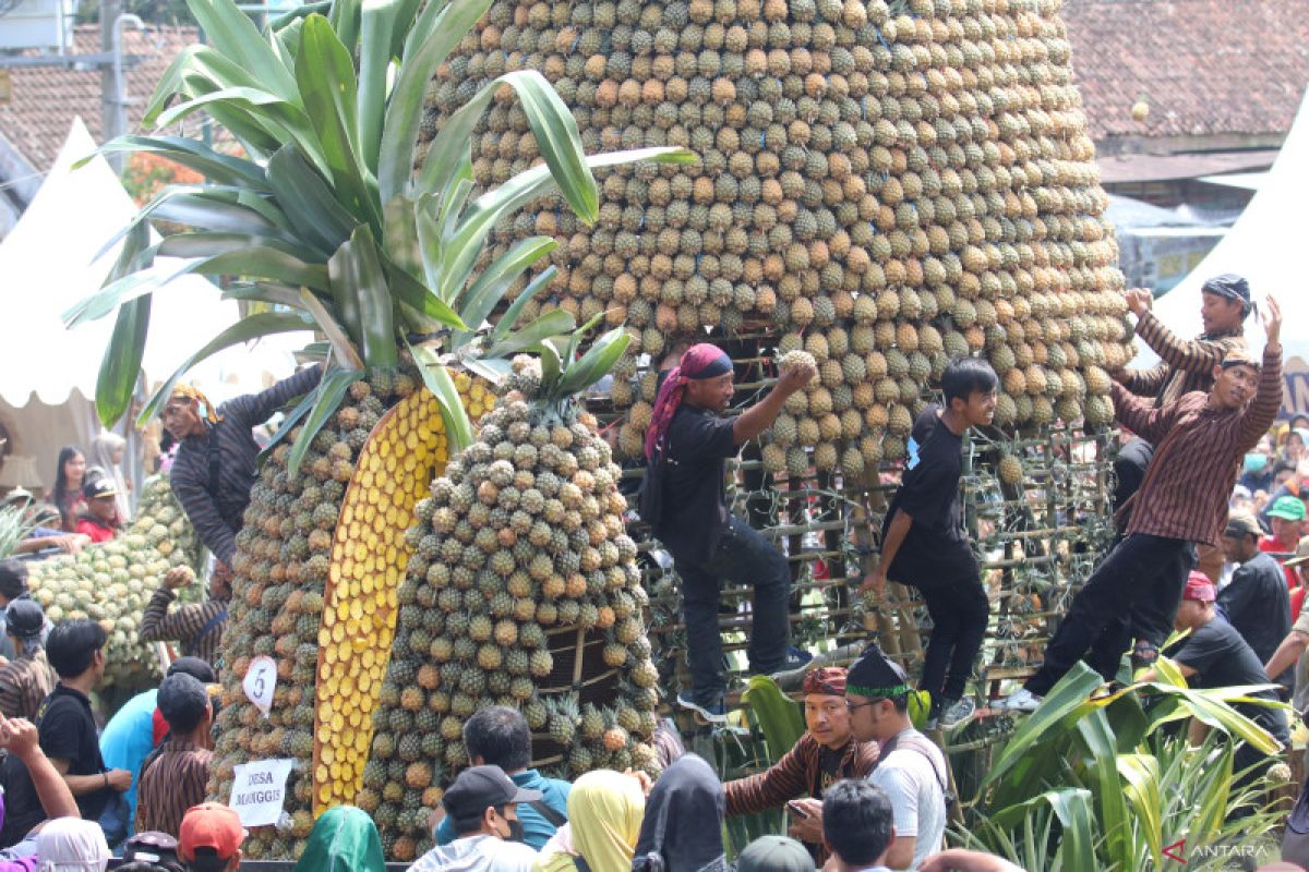 Gelar Pineaple Festival, Pemkab Kediri kembangkan hilirisasi nanas