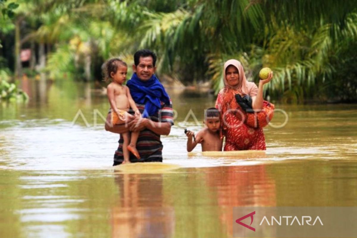 Banjir rendam delapan kecamatan di Aceh Barat