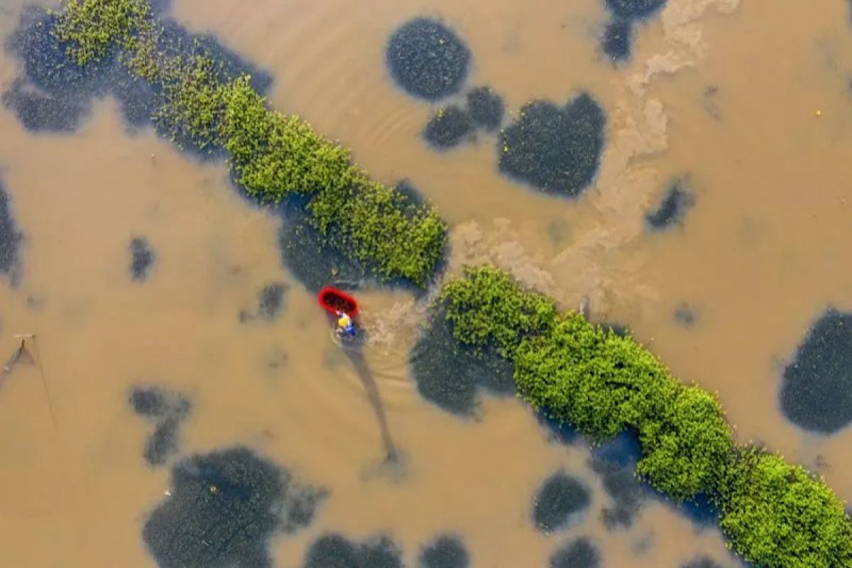 Ribuan warga China dievakuasi akibat banjir