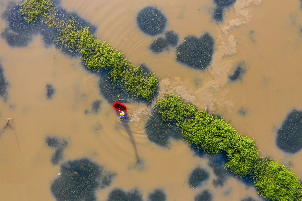 China luncurkan status tanggap darurat Level IV untuk banjir