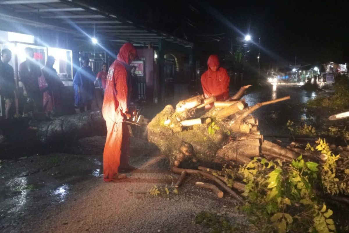 BPBD Padang waspadai potensi bencana karena curah hujan tinggi