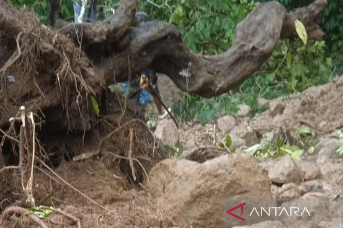 Longsor, Jalan Provinsi Sipirok-Marancar tak bisa dilalui kendaraan