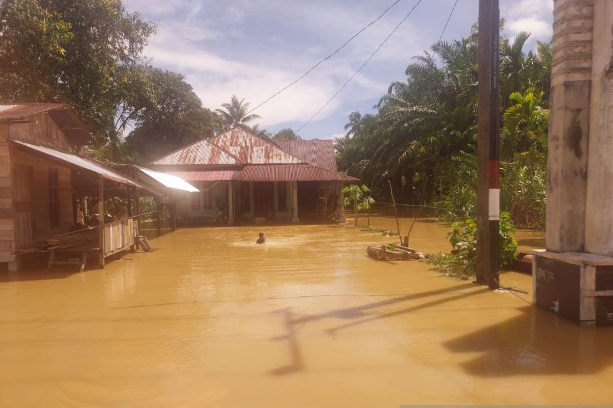 Banjir rendam Aceh meluas jadi delapan kabupaten/kota