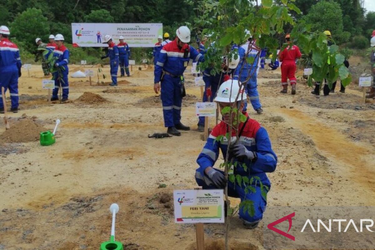 Pertamina Hijaukan Kembali Hutan Gunung Sepuluh Di Balikpapan - ANTARA ...