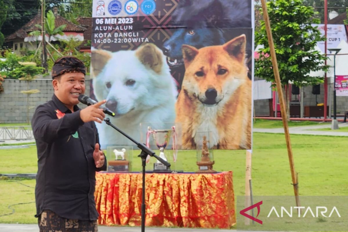 HUT Bangli, Bali ke-819 diramaikan kontes nasional anjing Kintamani