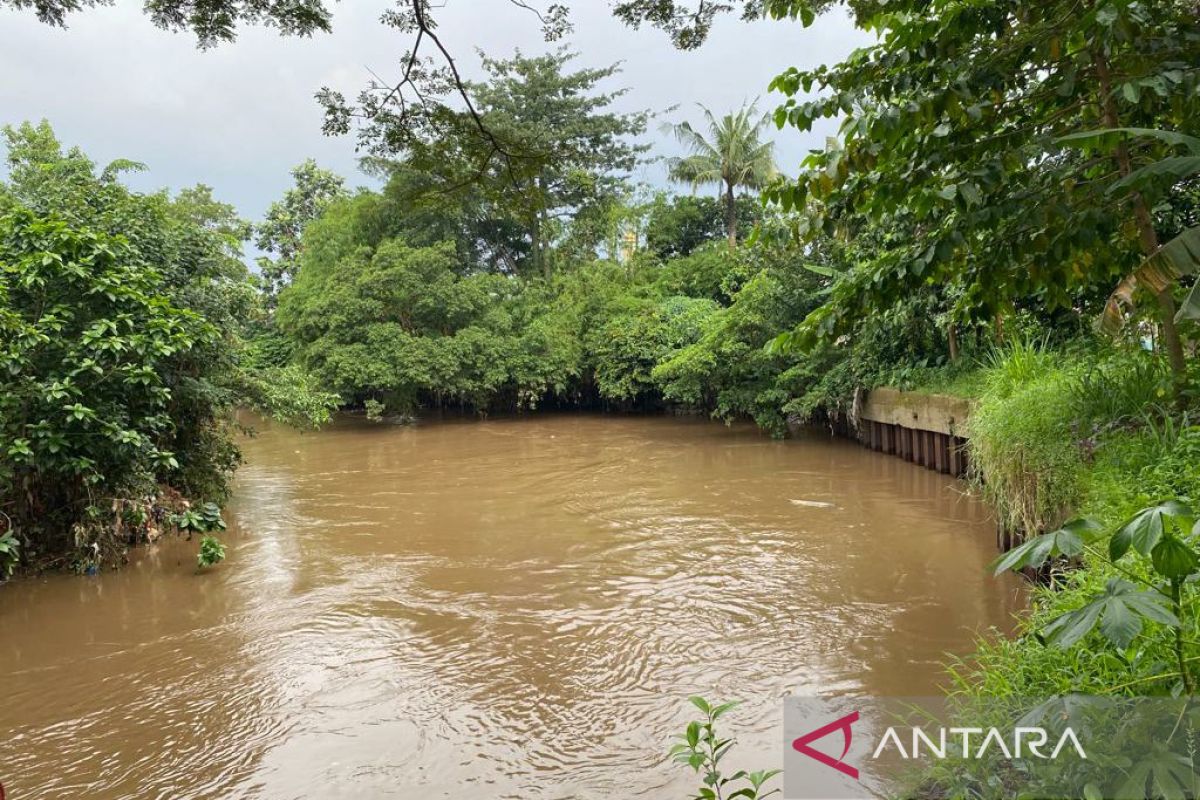 Pemprov DKI prioritas tangani enam lokasi rawan banjir di Ciliwung