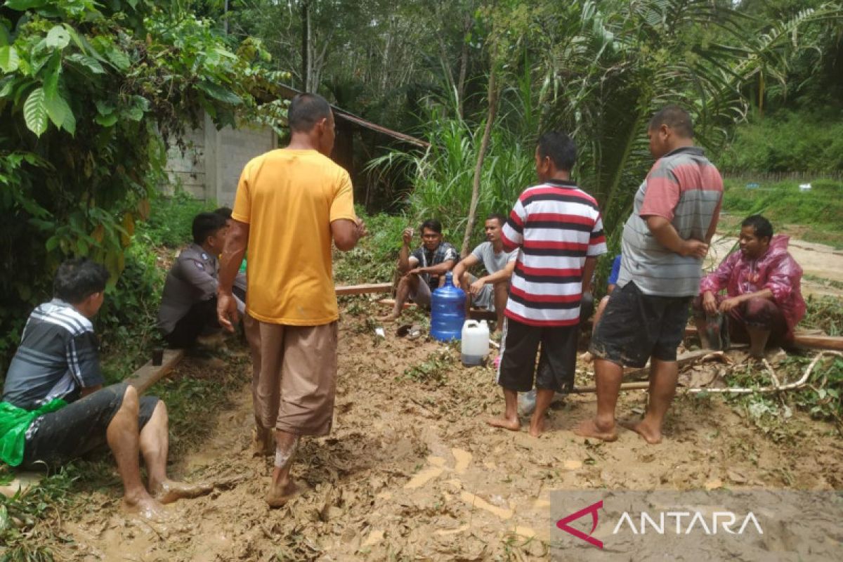 Banjir bandang terjang puluhan hektare sawah warga di Solok