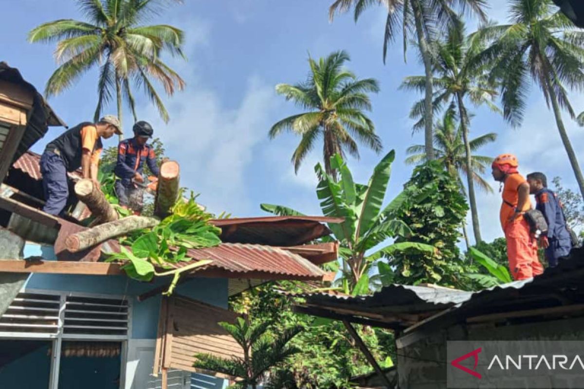 Cuaca ekstrim tumbangkan pohon dan timpa rumah di Tanah Datar, Bupati imbau masyarakat waspada