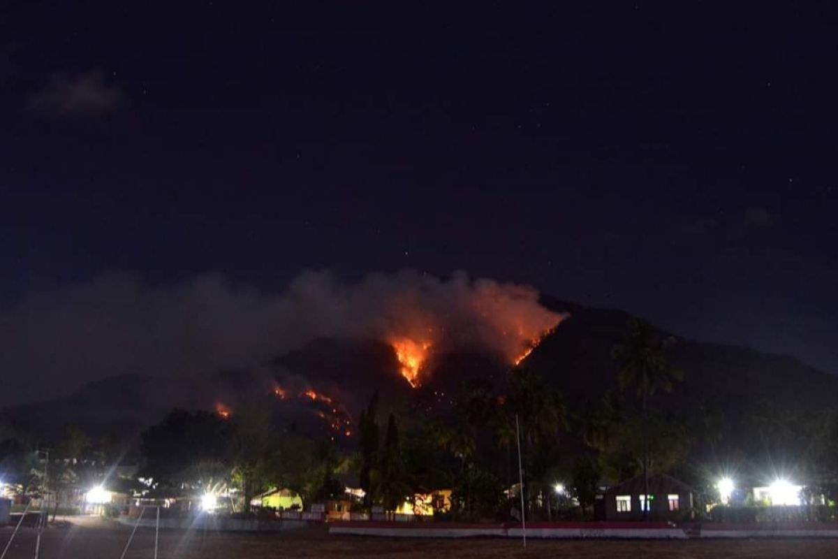 99 hektare lahan di NTT terbakar selama Januari-Maret 2023