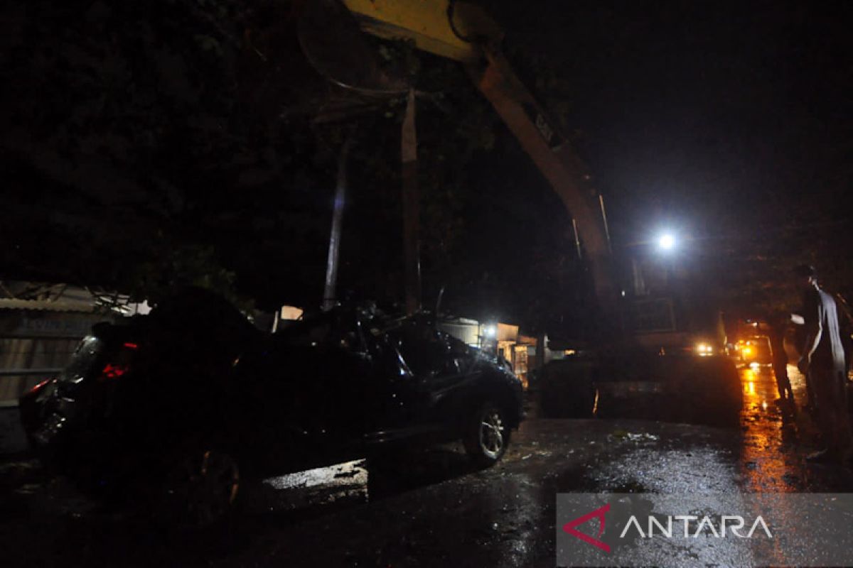 Hujan badai, dua warga Kota Bengkulu meninggal tertimpa pohon tumbang