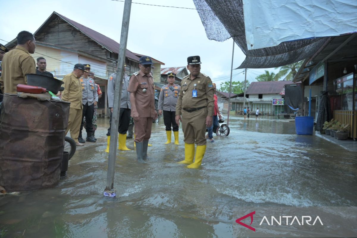 BNPB: Dua kabupaten di Aceh dilanda banjir akibat curah hujan tinggi