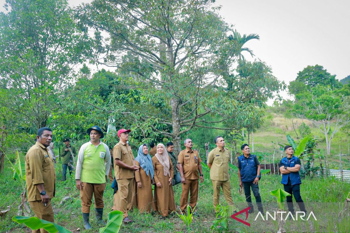 Tak hanya wisata, Pemkot Sabang jajaki pengembangan sektor pertanian dan perkebunan