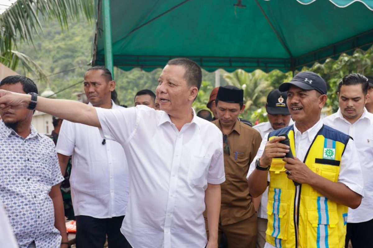Tinjau pembangunan pengaman pantai di Aceh Selatan, Pj gubernur: Jangan sampai baru dibuat sudah rusak