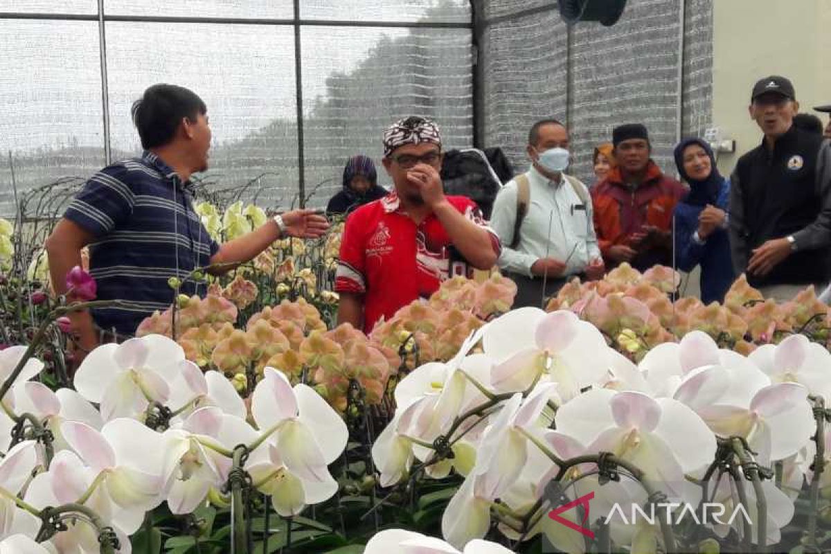 Untidar kucurkan Rp2,5 miliar kembangkan pariwisata di Kledung