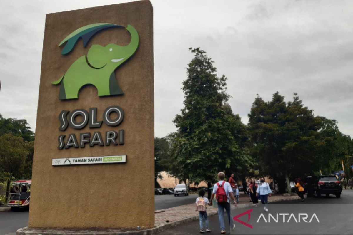 Baru buka Januari, Solo Safari sumbang PAD lebih Rp2 miliar