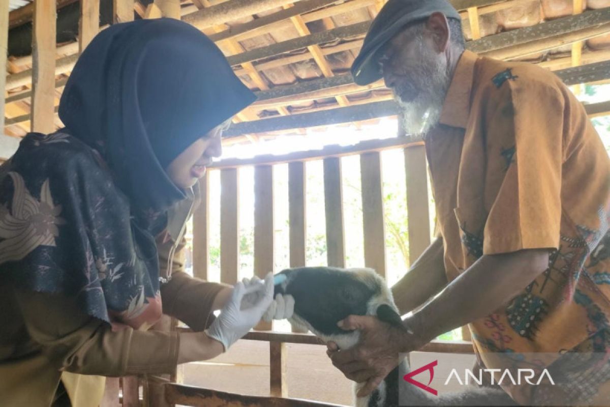 Drh Noura Ahraeny ajak peternak waspadai penyakit cacingan pada ternak