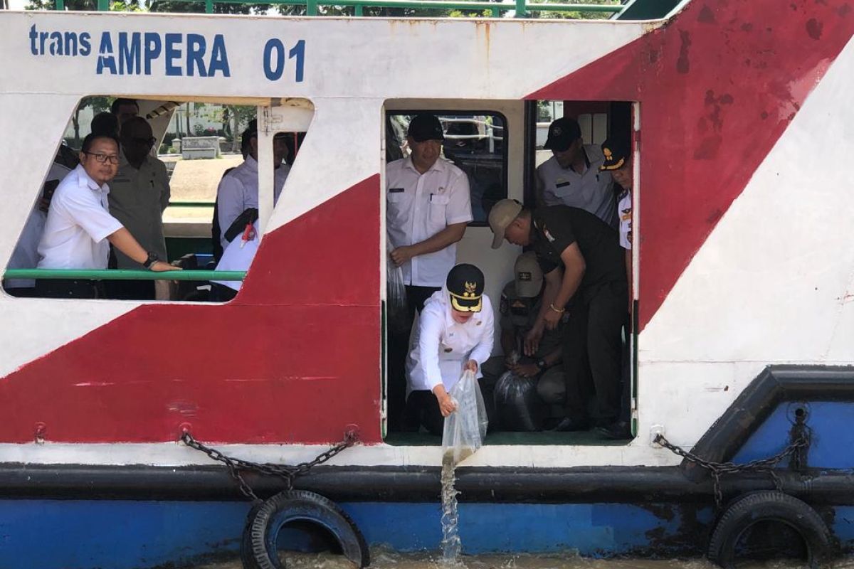 Pemkot Palembang sebar 2.000 benih ikan patin di Sungai Musi