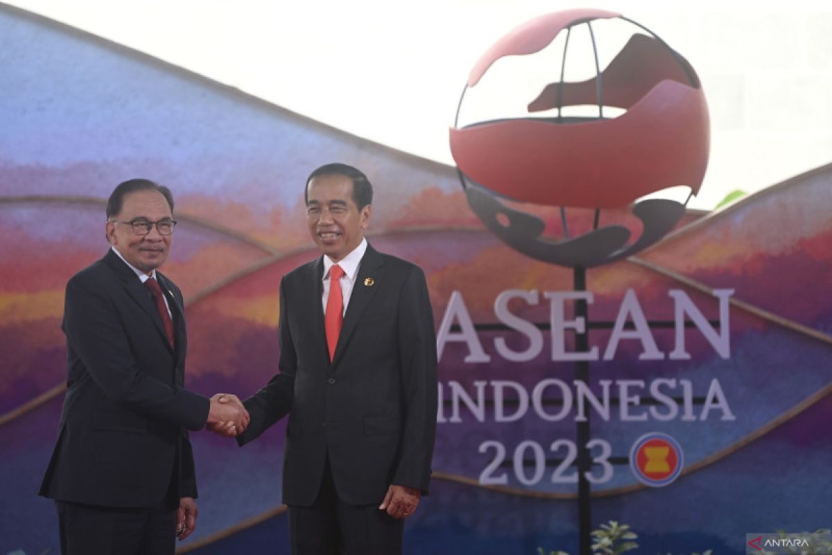 Presiden Jokowi ajak PM Anwar Ibrahim perkuat kolaborasi lawan diskriminasi sawit