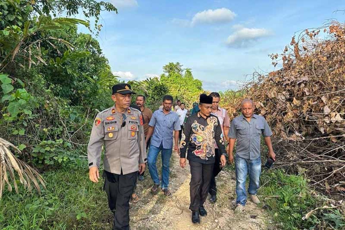 Senator desak KLHK tangani konflik harimau di Aceh Timur