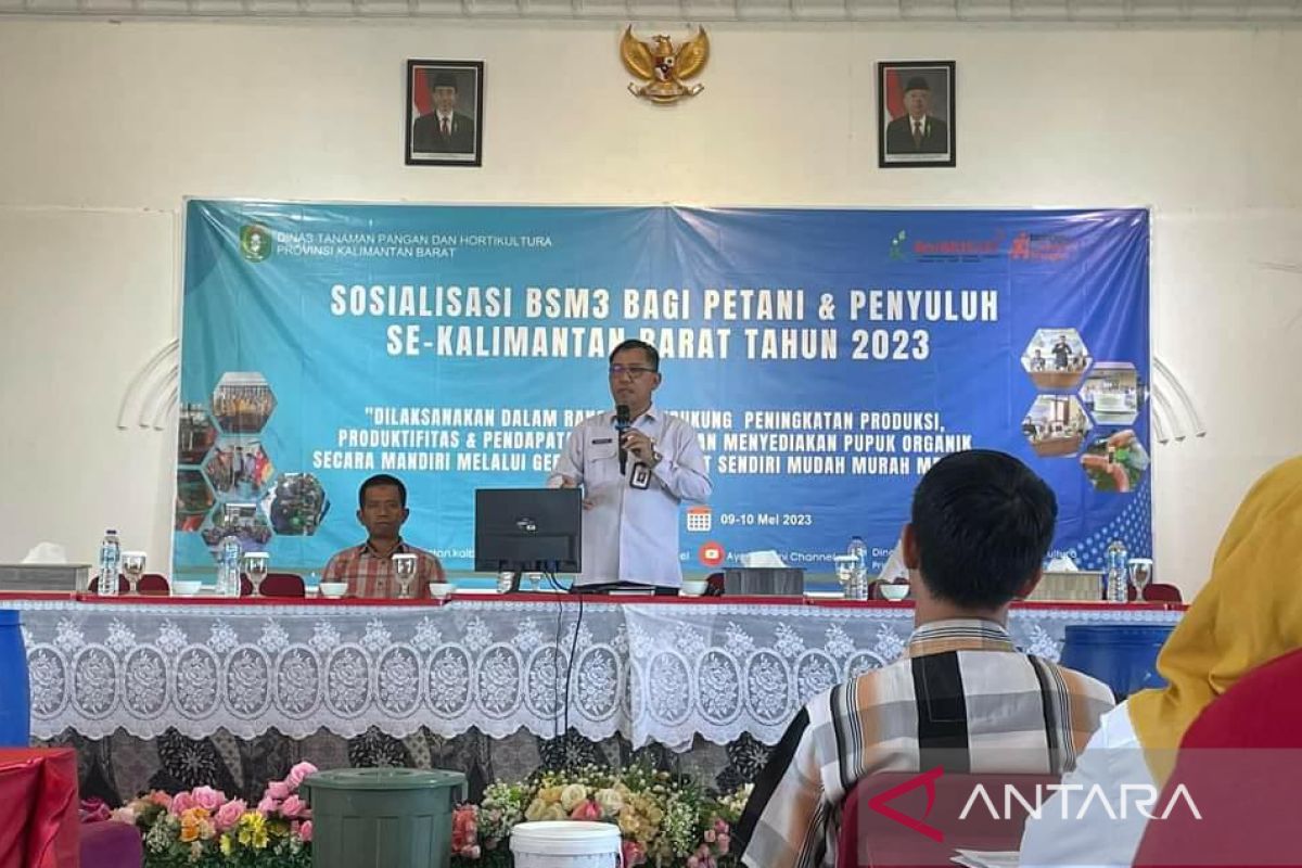 Dinas TPH  Kalbar jaga produksi padi antisipasi krisis pangan