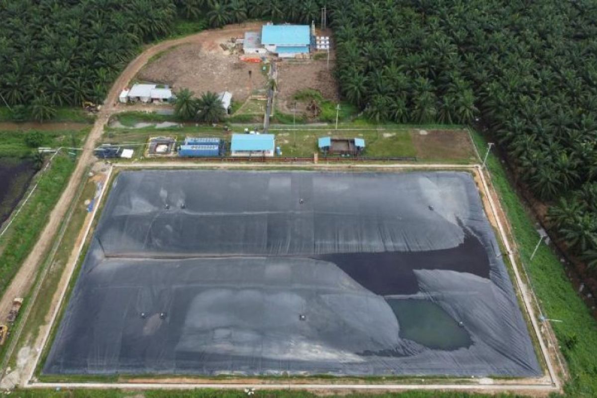 PLN UIDRKR operasikan pembangkit biogas berbasis limbah cair kelapa sawit di Rokan Hulu Riau