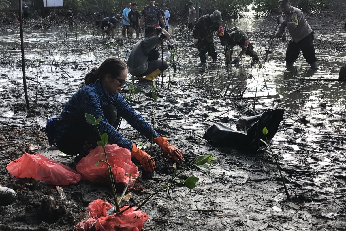 Komunitas lingkungan tanam 500 anakan mangrove di Teluk  Ambon