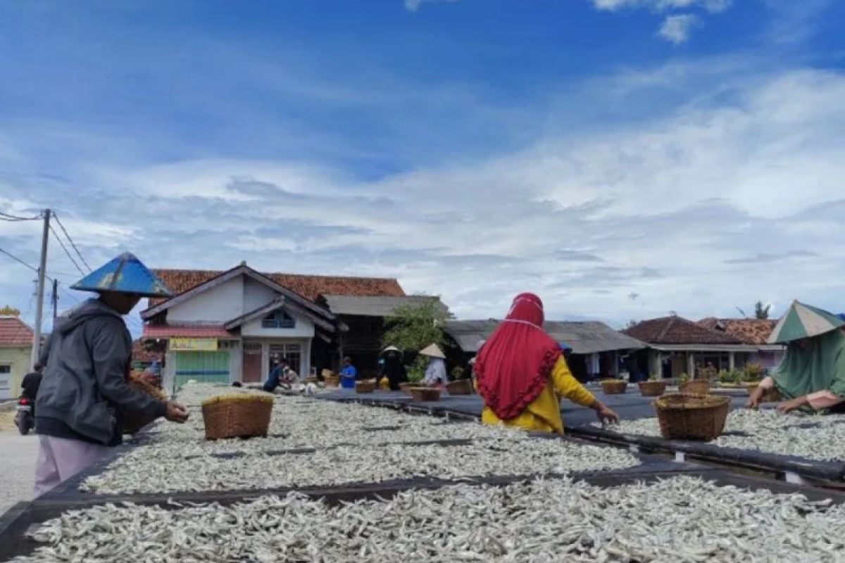 Harga garam di Lampung masih tinggi
