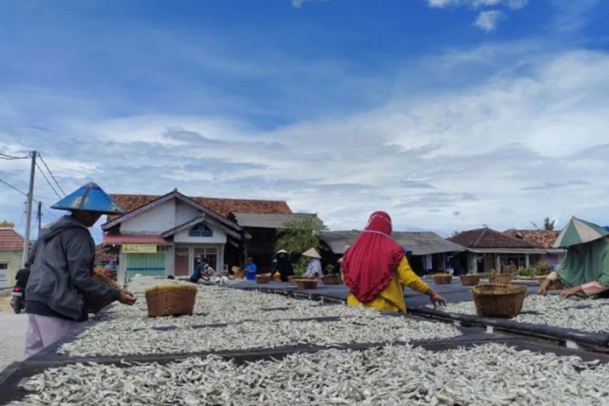 Perajin ikan teri asin Pulau Pasaran keluhkan harga garam tinggi