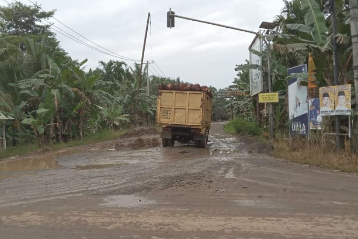 Kabupaten Tanjabtim Jambi dapatkan DAK dari Presiden RI untuk perbaikan jalan