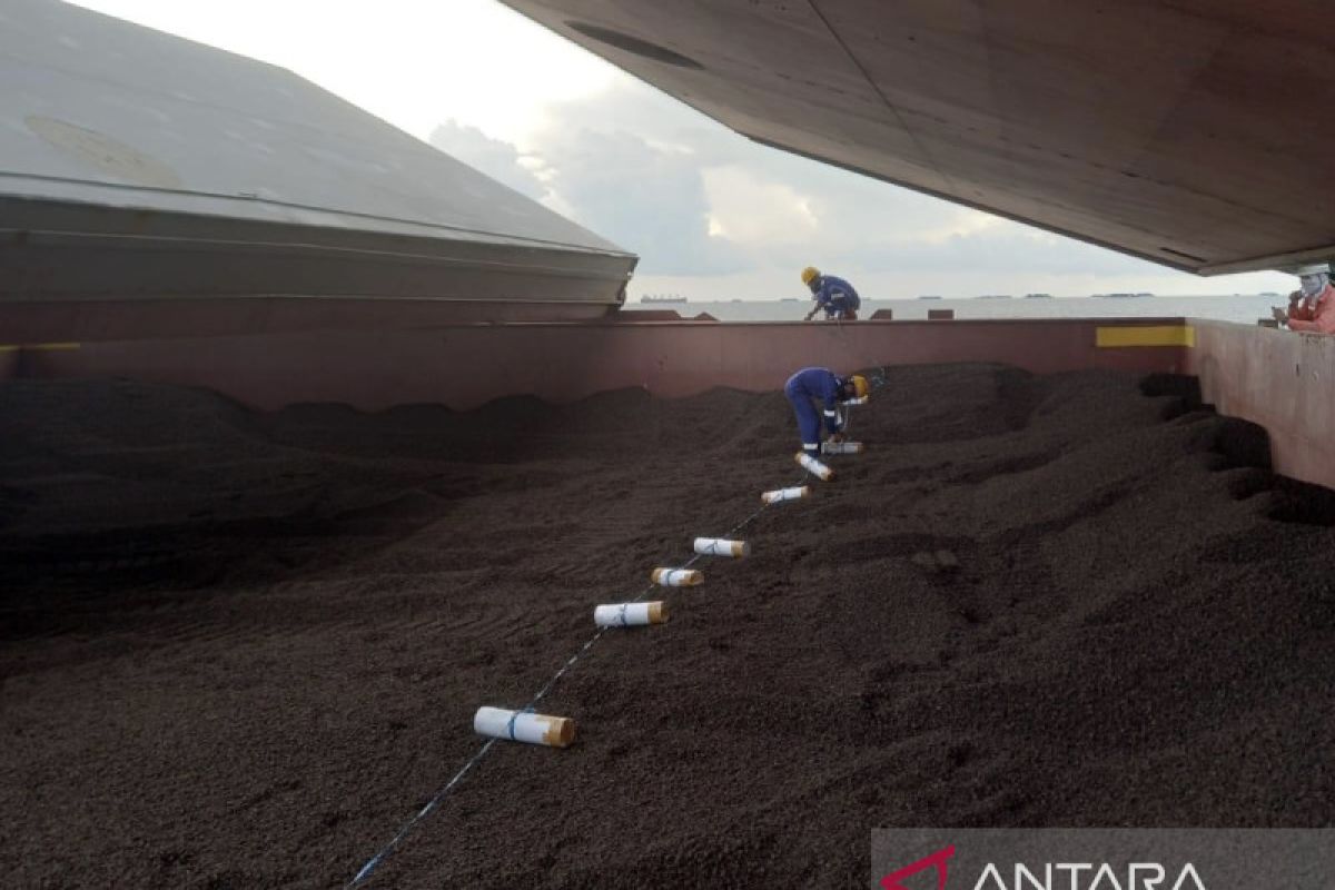 22.000 ton cangkang sawit Kalsel penuhi syarat ekspor ke Jepang